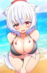 Rule 34 | 1girl, animal ears, arm under breasts, bikini, black bikini, blue sky, blush, breasts, cleavage, cloud, commentary, gyuta, hat, highres, horizon, inubashiri momiji, large breasts, looking at viewer, open mouth, outdoors, red eyes, red hat, short hair, sky, solo, swimsuit, tail, tokin hat, touhou, white hair, wolf ears, wolf girl, wolf tail