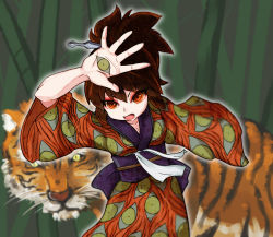 Rule 34 | 1girl, bamboo, bamboo forest, breasts, brown eyes, brown hair, cleavage, commentary request, copyright request, cowboy shot, eye in palm, forest, hair between eyes, highres, japanese clothes, kimono, kunai, looking at viewer, medium breasts, medium hair, nature, obi, open mouth, orange kimono, ponytail, purple sash, sash, solo, tiger, weapon, yan pai