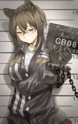 1girl animal_ears animal_hands arknights black_jacket blush breasts brown_hair closed_mouth cowboy_shot cuffs freckles hair_between_eyes handcuffs highres holding holding_sign jacket large_breasts long_hair long_sleeves looking_at_viewer mugshot open_clothes ponytail putcho raccoon_ears raccoon_girl raccoon_tail robin_(arknights) shirt sign solo tail white_shirt yellow_eyes