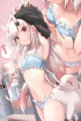 Rule 34 | !, 1girl, armpits, blue bra, blue panties, bra, breasts, cat, cleavage, collarbone, commentary, commentary request, dress, english commentary, gradient hair, grin, hair between eyes, hololive, horns, long hair, looking at viewer, midriff, mixed-language commentary, mujinbensin, multicolored hair, multiple views, nakiri ayame, navel, oni, panties, parted lips, poster (object), poyoyo (nakiri ayame), red eyes, red hair, revision, sidelocks, skin-covered horns, small breasts, smile, spoken exclamation mark, streaked hair, two-tone hair, underwear, underwear only, undressing, virtual youtuber, white cat, white dress, white hair