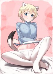 Rule 34 | 1girl, absurdres, animal ears, blonde hair, blue eyes, blue sweater, blush, brave witches, breasts, closed mouth, highres, hiroshi (hunter-of-kct), large breasts, looking at viewer, navel, nikka edvardine katajainen, pantyhose, pink background, short hair, simple background, smile, solo, sweater, tail, weasel ears, weasel tail, white pantyhose, world witches series