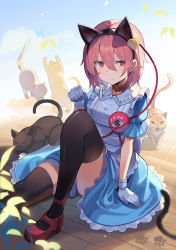 Rule 34 | 1girl, alternate costume, animal, animal ears, apron, arm support, black cat, black hairband, black thighhighs, blue butterfly, blue dress, blue sky, blurry, blurry foreground, brown cat, buckle, bug, butterfly, cat, cat ears, clenched hand, closed mouth, cloud, collar, collared dress, commentary, dress, eyeball, fake animal ears, falken (yutozin), feet out of frame, frilled apron, frilled dress, frills, gloves, hair between eyes, hair ornament, hairband, hand up, heart, heart hair ornament, highres, insect, komeiji satori, leaf, leg up, light blush, looking away, on floor, open mouth, orange eyes, outstretched arm, outstretched leg, paw pose, paw print, pink hair, plant, puffy short sleeves, puffy sleeves, red collar, red eyes, red footwear, short hair, short sleeves, sideways glance, sitting, sky, sleeping, slit pupils, solo, stretching, thighhighs, third eye, touhou, wavy mouth, white apron, white gloves, yellow butterfly, yellow cat, yellow eyes, zettai ryouiki