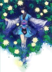 Rule 34 | 1girl, black hair, blue eyes, chinese clothes, full body, lily pad, long hair, mamusya, nature, original, partially submerged, scenery, solo, water