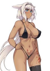 Rule 34 | 1girl, animal ears, arm at side, bare shoulders, bikini, black bikini, black thighhighs, blue eyes, body markings, breasts, caenis (fate), cleavage, closed mouth, collarbone, commentary request, cowboy shot, dark-skinned female, dark skin, fate/grand order, fate (series), hairband, hand on own hip, haruhisky, highleg, highleg bikini, highres, navel, single thighhigh, solo, standing, stomach, swimsuit, thighhighs, thighs, white hair