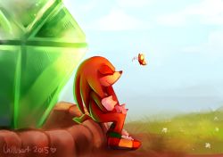 Rule 34 | artist name, blue sky, bug, butterfly, closed mouth, cloud, crystal, dated, day, closed eyes, flower, from side, full body, furry, furry male, gem, gloves, grass, green gemstone, happy, heart, insect, knuckles the echidna, long hair, male focus, outdoors, red footwear, red hair, shoes, signature, sitting, sky, smile, solo, sonic (series), spacecolonie, tail, white flower, white gloves