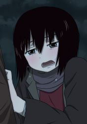 Rule 34 | 1girl, absurdres, aiu1, black hair, blush, bob cut, brown coat, brown eyes, cloud, cloudy sky, coat, commentary request, crying, crying with eyes open, frown, hair between eyes, hand on another&#039;s back, highres, nakahara misaki, nhk ni youkoso!, night, night sky, open mouth, partial commentary, purple scarf, red shirt, scarf, shirt, short hair, sky, solo focus, tears, upper body