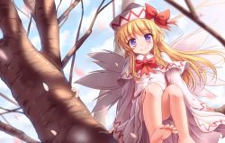Rule 34 | 1girl, barefoot, blonde hair, blurry, blush, bow, bowtie, capelet, cherry blossoms, convenient leg, day, depth of field, dress, fairy wings, feet, hat, hat bow, in tree, lily white, long hair, long sleeves, looking at viewer, lzh, petals, purple eyes, red bow, red bowtie, sidelocks, sitting, sitting in tree, smile, solo, toes, touhou, tree, white dress, wings