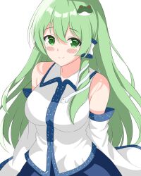 Rule 34 | breasts, closed mouth, collared shirt, commentary request, green eyes, green hair, hair ornament, hair tubes, highres, kochiya sanae, large breasts, long hair, looking at viewer, setsugetsuka436, shirt, simple background, smile, snake hair ornament, touhou, upper body, white background, white shirt, wide sleeves