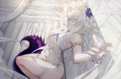 Rule 34 | 1girl, absurdres, arknights, armband, blue flower, blurry, braid, breasts, casual one-piece swimsuit, chinese commentary, commentary request, crocodilian tail, depth of field, flower, hair between eyes, hair flower, hair ornament, hand on own stomach, head wreath, highres, huayounian, looking at viewer, official alternate costume, one-piece swimsuit, pointy ears, small breasts, smile, solo, swimsuit, tail, thigh strap, thighs, tomimi (arknights), tomimi (silent night) (arknights), white flower, white hair, white one-piece swimsuit, yellow eyes