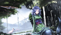 Rule 34 | 1girl, bird, blue eyes, blue hair, breasts, crested ibis, drill hair, fins, head fins, highres, japanese clothes, kimono, long sleeves, looking at viewer, matching hair/eyes, medium breasts, mermaid, monster girl, mountain, obi, ryosios, sash, scarlet devil mansion, short hair, sitting, smile, solo, touhou, tree, utility pole, wakasagihime, water, waterfall