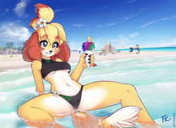 Rule 34 | 2girls, 3boys, animal crossing, animal ears, animal hands, apollo (animal crossing), arm support, beach, bikini, blonde hair, blush stickers, breasts, brown eyes, dog ears, dog tail, eyebrows, eyelashes, flower, flower on head, fluff kevlar, food, furry, holding, ice cream, isabelle (animal crossing), k.k. slider (animal crossing), kass, looking at viewer, mabel able (animal crossing), medium breasts, multiple boys, multiple girls, navel, nintendo, ocean, outdoors, palm tree, pawpads, pinky out, sitting, sky, smile, spread legs, swimsuit, tail, tent, the legend of zelda, the legend of zelda: breath of the wild, thighs, topknot, torch, tree, underboob, water