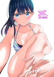 Rule 34 | 1girl, barefoot, bikini, black hair, breasts, cleavage, closed mouth, collarbone, color iroha, commentary request, feet, gridman universe, hair between eyes, highres, long hair, looking at viewer, medium breasts, ponytail, purple eyes, simple background, sitting, solo, ssss.gridman, swimsuit, takarada rikka, thighs, toes, white background