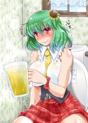 Rule 34 | drinking pee, kazami yuuka, pee, peeing, solo, tagme, toilet, touhou, yoshino (hell-ion)