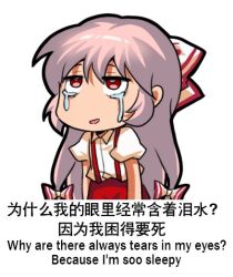 Rule 34 | 1girl, bilingual, bow, chibi, commentary, crying, crying with eyes open, english commentary, english text, fujiwara no mokou, hair bow, jokanhiyou, long hair, looking up, mixed-language text, no nose, open mouth, pants, pink hair, puffy short sleeves, puffy sleeves, red bow, red eyes, red pants, shirt, short sleeves, solo, suspenders, tears, touhou, white bow, white shirt