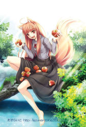 Rule 34 | 00s, 1girl, animal ears, apple, barefoot, brown hair, fang, food, fruit, holding, holding food, holding fruit, holo, long hair, niko, niko (azurite), red eyes, skirt basket, solo, spice and wolf, tail, wolf ears, wolf tail