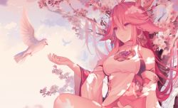 Rule 34 | 1girl, animal ears, bare shoulders, bird, branch, breasts, cherry blossoms, closed mouth, commentary, detached sleeves, dove, dress, flower, fox ears, from below, genshin impact, hair between eyes, japanese clothes, large breasts, long hair, long sleeves, looking at animal, pink flower, pink hair, priestess, purple eyes, rimuu, sitting, solo, thighs, tree, white dress, wide sleeves, yae miko