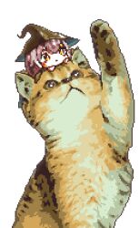 Rule 34 | 1girl, 1other, brown hair, cat, chibi, downvote (downvote me), hat, highres, hololive, hololive english, looking at another, looking to the side, medium hair, mini person, minigirl, nanashi mumei, on animal, pixel art, simple background, virtual youtuber, white background, witch hat, yellow eyes