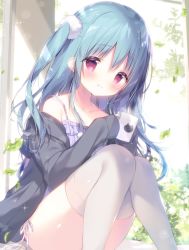 Rule 34 | 1girl, black jacket, blue hair, blush, camisole, closed mouth, collarbone, commentary request, cup, falling leaves, feet out of frame, hair between eyes, highres, holding, holding cup, jacket, knees together feet apart, knees up, leaf, long hair, long sleeves, looking at viewer, mug, off shoulder, one side up, open clothes, open jacket, original, panties, purple camisole, red eyes, shiratama (shiratamaco), side-tie panties, sitting, sleeves past fingers, sleeves past wrists, solo, thighhighs, thighs, underwear, white panties, white thighhighs