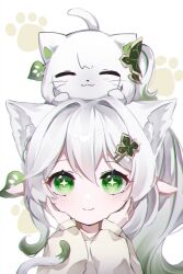 Rule 34 | 1girl, :3, animal, animal ears, cat, cat ears, cat girl, cat tail, closed eyes, closed mouth, cross-shaped pupils, genshin impact, gradient hair, green eyes, green hair, hair between eyes, hair ornament, hairclip, hands on own face, highres, leaf hair ornament, long hair, long sleeves, looking at viewer, multicolored hair, nahida (genshin impact), plata 0514, pointy ears, shirt, side ponytail, sidelocks, simple background, smile, symbol-shaped pupils, tail, upper body, white background, white hair