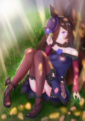 Rule 34 | 1girl, absurdres, against tree, animal ears, black thighhighs, blue flower, blue rose, blush, breasts, brown hair, closed mouth, clover, commentary request, dagger, dress, flower, four-leaf clover, hair over one eye, highres, horse ears, horse girl, horse tail, knife, long sleeves, off-shoulder dress, off shoulder, outdoors, philo 324, purple dress, purple eyes, purple headwear, rice shower (umamusume), rose, sheath, sheathed, small breasts, smile, solo, tail, thighhighs, tree, umamusume, weapon