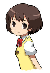 Rule 34 | 00s, 1girl, bow, bowtie, brown eyes, brown hair, emblem, imaizumi teruhiko, kaminagi ryouko, looking at viewer, puffy short sleeves, puffy sleeves, red bow, red bowtie, shirt, short sleeves, simple background, smile, solo, sweater vest, upper body, white background, white shirt, zegapain