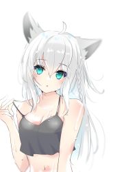 Rule 34 | 1girl, ahoge, animal ear fluff, animal ears, black camisole, braid, breasts, camisole, camisole pull, cleavage, clothes pull, commentary request, fox ears, fox girl, green eyes, hair between eyes, highres, hololive, long hair, looking at viewer, medium breasts, navel, open mouth, sakura lili, shirakami fubuki, sidelocks, simple background, single braid, solo, sweat, virtual youtuber, white background, white hair