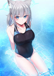 Rule 34 | 1girl, absurdres, animal ear fluff, animal ears, ataririri, black one-piece swimsuit, blue archive, blue eyes, breasts, competition swimsuit, covered navel, cross hair ornament, extra ears, grey hair, hair ornament, halo, highres, looking at viewer, low ponytail, medium breasts, medium hair, mismatched pupils, multicolored clothes, multicolored swimsuit, one-piece swimsuit, partially submerged, shiroko (blue archive), shiroko (swimsuit) (blue archive), sitting, solo, swimsuit, wariza, water