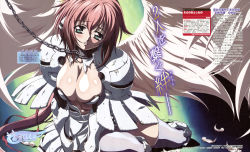 Rule 34 | 00s, 1girl, absurdres, angel, angel wings, bdsm, blush, breasts, chain, cleavage, collar, feathers, female focus, green eyes, highres, ikaros, large breasts, long hair, pink hair, red hair, solo, sora no otoshimono, thighhighs, tokiwa kentarou, torn clothes, very long hair, wings, zettai ryouiki