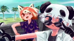 Rule 34 | 2girls, adjusting eyewear, alternate costume, animal ears, animal print, black eyes, black gloves, black hair, black shirt, blue shirt, blue sky, blush, brown eyes, car, cat, closed mouth, commentary request, convertible, day, dress shirt, driving, elbow rest, fangs, floating hair, giant panda (kemono friends), gloves, hand up, hawaiian shirt, highres, index finger raised, kemono friends, layered shirt, lesser panda (kemono friends), looking at viewer, looking over eyewear, looking to the side, motor vehicle, multicolored hair, multiple girls, no pupils, no sclera, open clothes, open mouth, open shirt, orange hair, outdoors, outstretched arm, palm tree, panda ears, panda girl, pero (sabuaka bacon), raised eyebrows, red panda ears, red panda girl, shirt, short hair, sitting, sky, smile, steering wheel, sunglasses, tree, white hair, white shirt