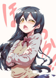 Rule 34 | 10s, 1girl, blue hair, blush, chestnut mouth, commentary request, crossed arms, flat chest, long hair, looking at viewer, love live!, love live! school idol project, open mouth, otonokizaka school uniform, school uniform, solo, sonoda umi, standing, sweater vest, tokyo (great akuta), yellow eyes