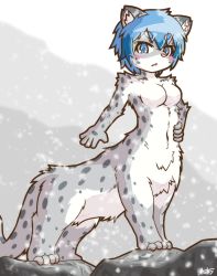 Rule 34 | artist request, blue eyes, blue hair, furry, highres, open mouth, snow leopard