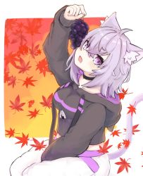 Rule 34 | 1girl, absurdres, ame to ame, animal ear fluff, animal ears, autumn leaves, baggy pants, black hoodie, breasts, cat ears, cat girl, cat tail, fang, food, fruit, grapes, highres, hololive, hood, hood down, hoodie, leaf, looking at viewer, maple leaf, medium breasts, nekomata okayu, nekomata okayu (1st costume), open mouth, pants, purple eyes, purple hair, short hair, sitting, solo, tail, virtual youtuber, white pants
