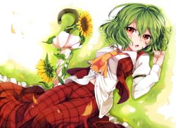 Rule 34 | 1girl, ascot, asprach, closed umbrella, female focus, flower, green hair, kazami yuuka, long sleeves, looking at viewer, lying, on back, on ground, open clothes, open mouth, open vest, petals, red eyes, shirt, short hair, skirt, solo, sunflower, touhou, umbrella, vest