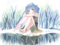 Rule 34 | 1girl, alternate form, artist name, bare arms, bare legs, bare tree, barefoot, blue eyes, blue hair, blurry, blurry background, blush, commentary request, dated, day, depth of field, different reflection, drill hair, expressionless, fins, green kimono, head fins, head tilt, highres, hugging own legs, japanese clothes, kimono, knees up, lake, leg lift, legs, ling mou, looking at viewer, mermaid, monster girl, obi, outdoors, reflection, sash, short hair, short kimono, sitting, sleeveless, sleeveless kimono, snow, solo, touhou, tree, wakasagihime, winter