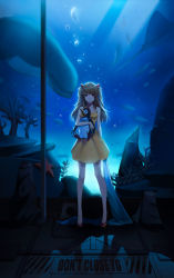Rule 34 | 1girl, aquarium, bird, brown hair, carrying, closed mouth, collarbone, dress, english text, engrish text, fish, full body, headgear, highres, holding, indoors, long hair, looking at viewer, neon genesis evangelion, penguin, penpen, ranguage, red eyes, red footwear, short dress, sleeveless, sleeveless dress, snowy1moon, solo, souryuu asuka langley, standing, yellow dress