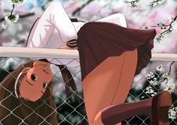 Rule 34 | 1girl, bent over, brown eyes, brown hair, chain-link fence, character request, cherry blossoms, fence, flower, hairband, headband, kiriman (souldeep), long hair, looking at viewer, open mouth, school uniform, serafuku, smile, solo, upside-down