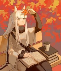 Rule 34 | 1girl, animal ear fluff, animal ears, arknights, arm up, autumn leaves, bench, black pantyhose, black shirt, book, brown eyes, closed mouth, coffee cup, commentary request, cup, disposable cup, feet out of frame, highres, holding, holding leaf, jacket, leaf, looking away, maple leaf, miike (992058), on bench, open book, pantyhose, park bench, platinum (arknights), shirt, sitting, solo, white hair, white jacket