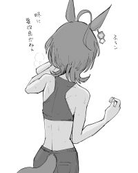 Rule 34 | 1girl, agnes tachyon (umamusume), ahoge, animal ears, back, bare back, bare shoulders, clothing cutout, cowboy shot, crop top, drink, earrings, facing away, from behind, greyscale, highres, holding, holding drink, horse ears, horse girl, horse tail, jewelry, monochrome, pants, sakifox, short hair, simple background, single earring, solo, sports bra, sports drink, sportswear, standing, sweat, tail, tail through clothes, umamusume, white background