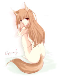 Rule 34 | 00s, 1girl, animal ears, cyprus, holo, nude, solo, spice and wolf, tail, wolf ears, wolf tail