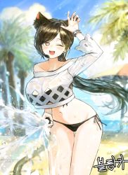 Rule 34 | 1girl, animal ear fluff, animal ears, arm up, bad id, bad pixiv id, beach, bikini, black bikini, black hair, blurry, blurry background, bracelet, breasts, cat ears, cleavage, commission, day, elsword, heart, heart-shaped pupils, holding, holding hose, hose, jewelry, large breasts, looking at viewer, midriff, navel, one eye closed, open mouth, outdoors, palm tree, parted bangs, ponytail, red eyes, sonchi, standing, swimsuit, symbol-shaped pupils, tree, water