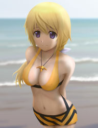 Rule 34 | 10s, 1girl, arms behind back, beach, bikini, blonde hair, blurry, blush, breasts, charlotte dunois, cleavage, covered erect nipples, day, highres, infinite stratos, jewelry, long hair, medium breasts, navel, ocean, outdoors, pendant, ponytail, purple eyes, shiny skin, short hair, siraha, smile, solo, standing, swimsuit, water