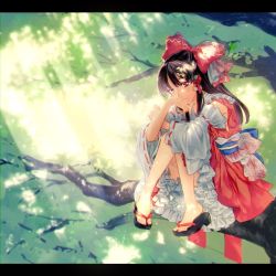 Rule 34 | 1girl, arms on knees, bare legs, black footwear, black hair, blurry, blurry background, bow, branch, detached sleeves, frilled skirt, frills, hair bow, hakurei reimu, highres, in tree, kayako (tdxxxk), knees together feet apart, layered skirt, letterboxed, light rays, long hair, looking at viewer, red bow, red eyes, red skirt, ribbon-trimmed sleeves, ribbon trim, sandals, sitting, sitting in tree, skirt, smile, solo, sun light, sunbeam, sunlight, toes, touhou, tree, tree shade, wide sleeves