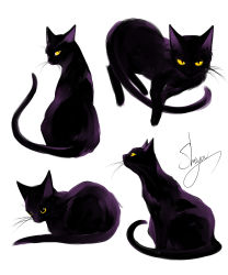 Rule 34 | absurdres, animal focus, artist name, black cat, black eyes, cat, colored sclera, from behind, from side, highres, looking at viewer, looking back, multiple views, no humans, original, sheya, signature, simple background, sitting, whiskers, white background, yellow sclera
