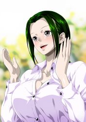 1girl green_hair makino_(one_piece) nel-zel_formula one_piece