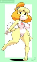 Rule 34 | 1girl, absurdres, animal crossing, animal ears, argento, artist name, bell, black eyes, blonde hair, blush, blush stickers, border, breasts, cleft of venus, collarbone, dog ears, dog tail, feet, full body, furry, furry female, green border, hair bell, hair ornament, highres, isabelle (animal crossing), large breasts, legs apart, logo, looking to the side, navel, nintendo, nipples, nude, open mouth, patreon, pussy, short hair, signature, simple background, solo, standing, standing on one leg, tail, text focus, third-party edit, uncensored, watermark, web address, white background