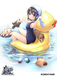 Rule 34 | 1girl, adjusting headwear, afloat, aino osaru, animal hat, ass, barefoot, blue bow, blue eyes, blush, bow, breasts, brown hair, capybara, copyright name, easter egg, egg, flotation aid, hands up, hat, inflatable duck, inflatable toy, looking back, official art, one-piece swimsuit, otter, school swimsuit, seashell, shell, sitting, small breasts, smile, soaking feet, solo, sparkle, stuffed animal, stuffed rabbit, stuffed toy, swimming, swimsuit, the caster chronicles, water, watermark