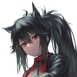 Rule 34 | 1girl, ahoge, animal ears, arknights, black hair, black jacket, closed mouth, commentary, expressionless, eyelashes, hair between eyes, highres, jacket, long hair, looking at viewer, official alternate costume, orange eyes, ponytail, portrait, red shirt, shirt, simple background, solo, t800, texas (arknights), texas (willpower) (arknights), unfinished, white background, wolf ears