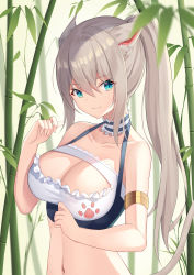 Rule 34 | 1girl, absurdres, angel no shousou, animal ears, armlet, bamboo, bare shoulders, blue eyes, breasts, cat ears, cat girl, cat tail, choker, cleavage, collarbone, crop top, fang, frilled choker, frills, grey hair, halterneck, halterneck, hand up, highres, large breasts, long hair, looking at viewer, midriff, navel, original, plant, ponytail, sleeveless, smile, solo, stomach, tail, upper body