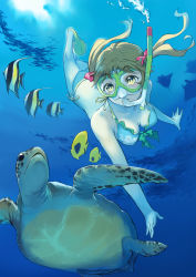 Rule 34 | 1girl, bad id, bad pixiv id, bikini, brown hair, diving, diving mask, fish, flippers, freediving, goggles, kick-to-rip, mask, original, short hair, snorkel, solo, swimming, swimsuit, turtle, twintails, underwater, yellow eyes