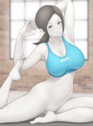 Rule 34 | 1girl, absurdres, armpits, arms up, bare shoulders, barefoot, bottomless, breasts, cleavage, closed mouth, collarbone, colored skin, convenient leg, feet, forehead, grey eyes, grey hair, highres, indoors, large breasts, long hair, low ponytail, mogtate, navel, nintendo, on floor, smile, solo, sports bra, stomach, stretching, white skin, wii fit, wii fit trainer, wii fit trainer (female), window